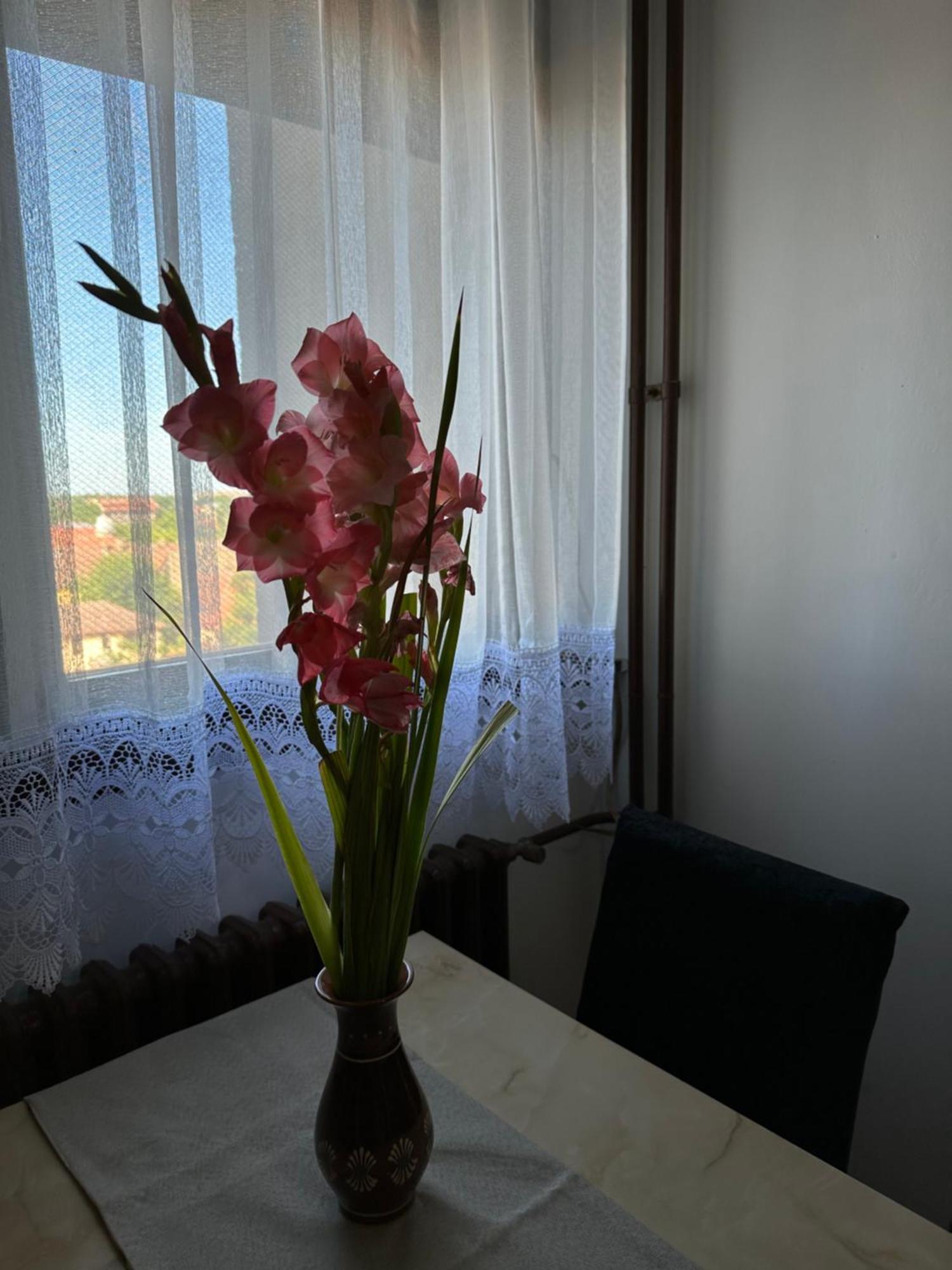 Tamaris Apartment Subotica Exteriör bild